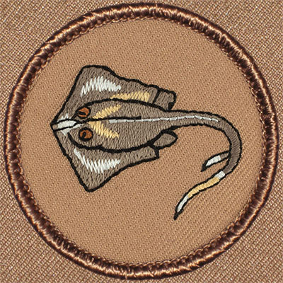 Stingray Patrol Patch Ð Scout Patch