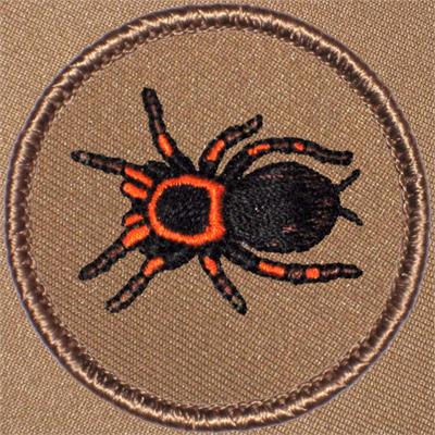 Tarantula Patrol Patch Ð Scout Patch