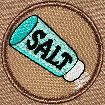 Salt Shaker Patrol Patch Ð Scout Patch