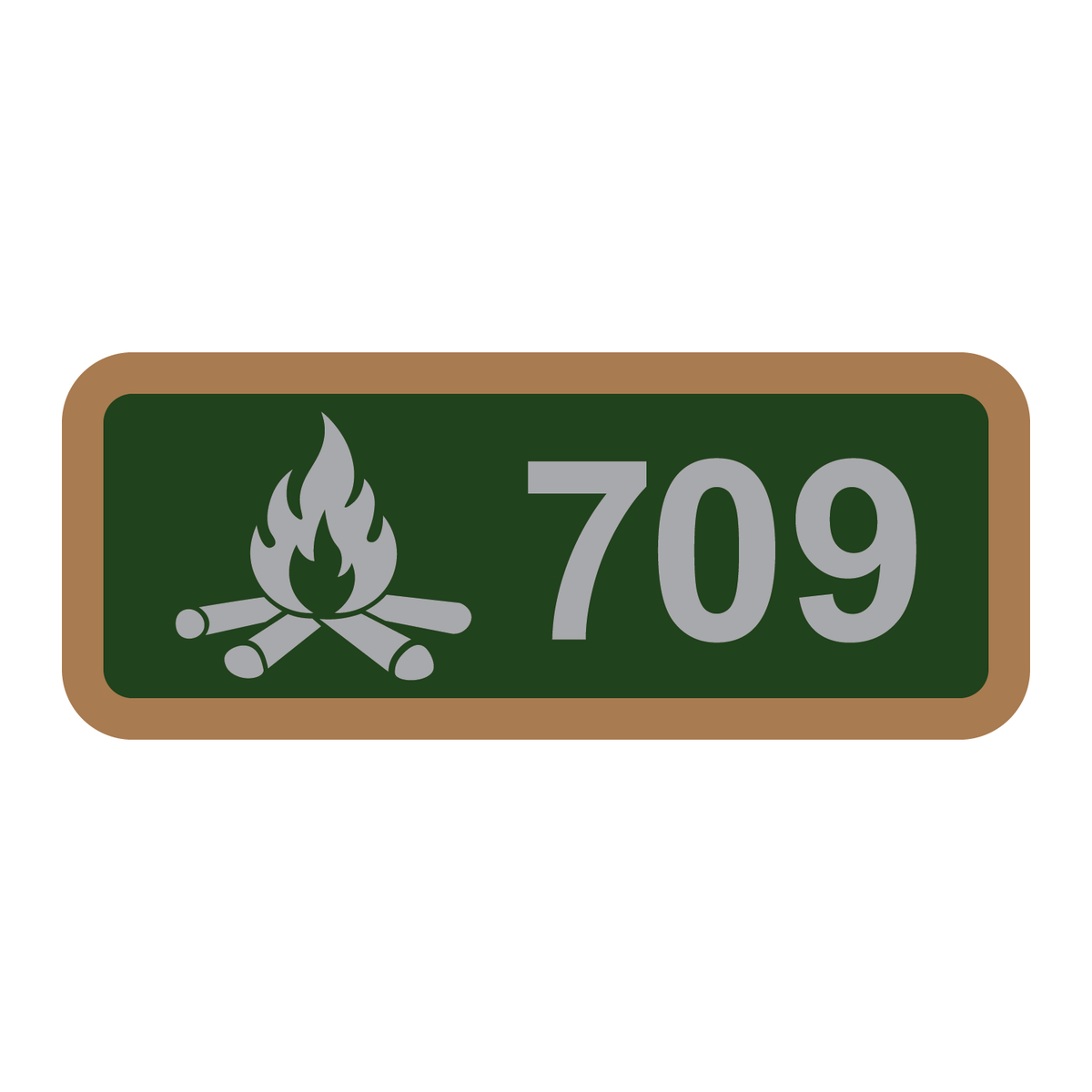 Troop 709 Achievement Patch - Silver