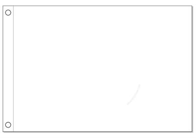 flag blank