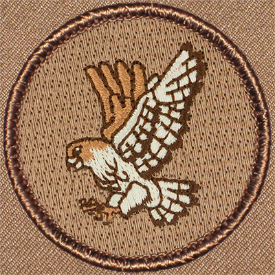 Falcon Patrol Patch Ð Scout Patch