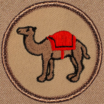 Camel w/Blanket Patrol Patch