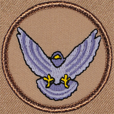 Nighthawk Patrol Patch Ð Scout Patch