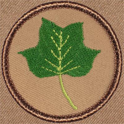 Poplar Tulip Patrol Patch Ð Scout Patch
