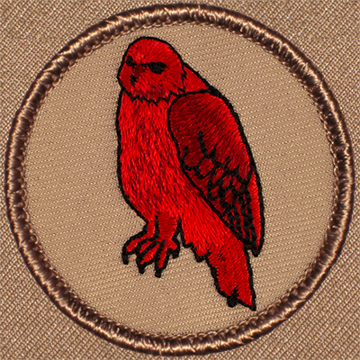 Fire Hawk Patrol Patch