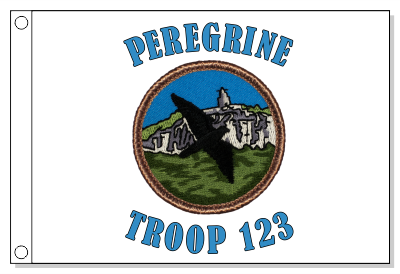 Peregrine Falcon Patrol Flag