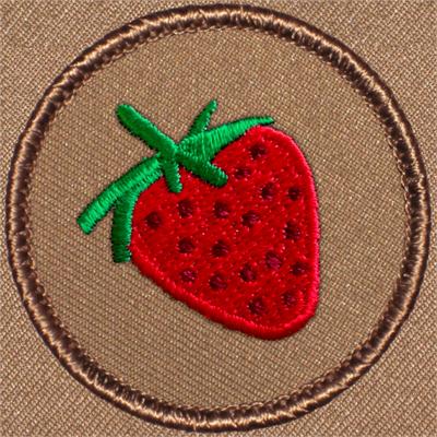 Strawberry Patrol Patch