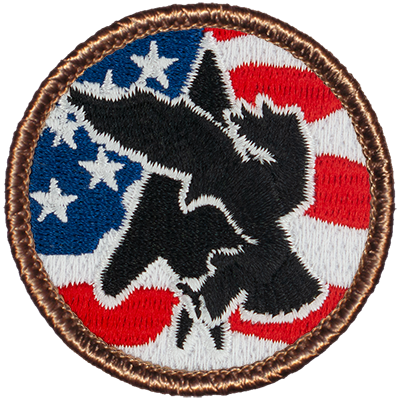 Night Hawk American Flag 2” embroidered scout patrol patches