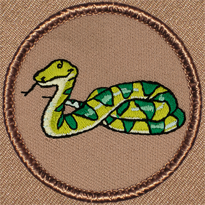 Viper Patrol Patch