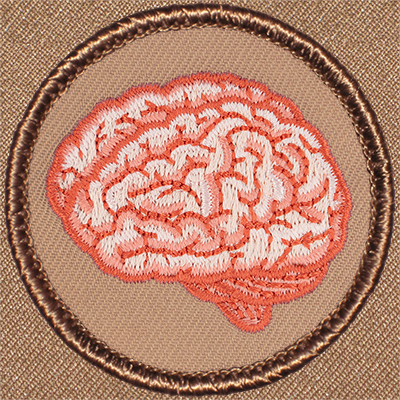 Pink Brain Scout Patrol Patches
