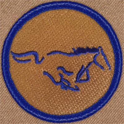 Mustang 2012 Patrol Patch Ð Scout Patch