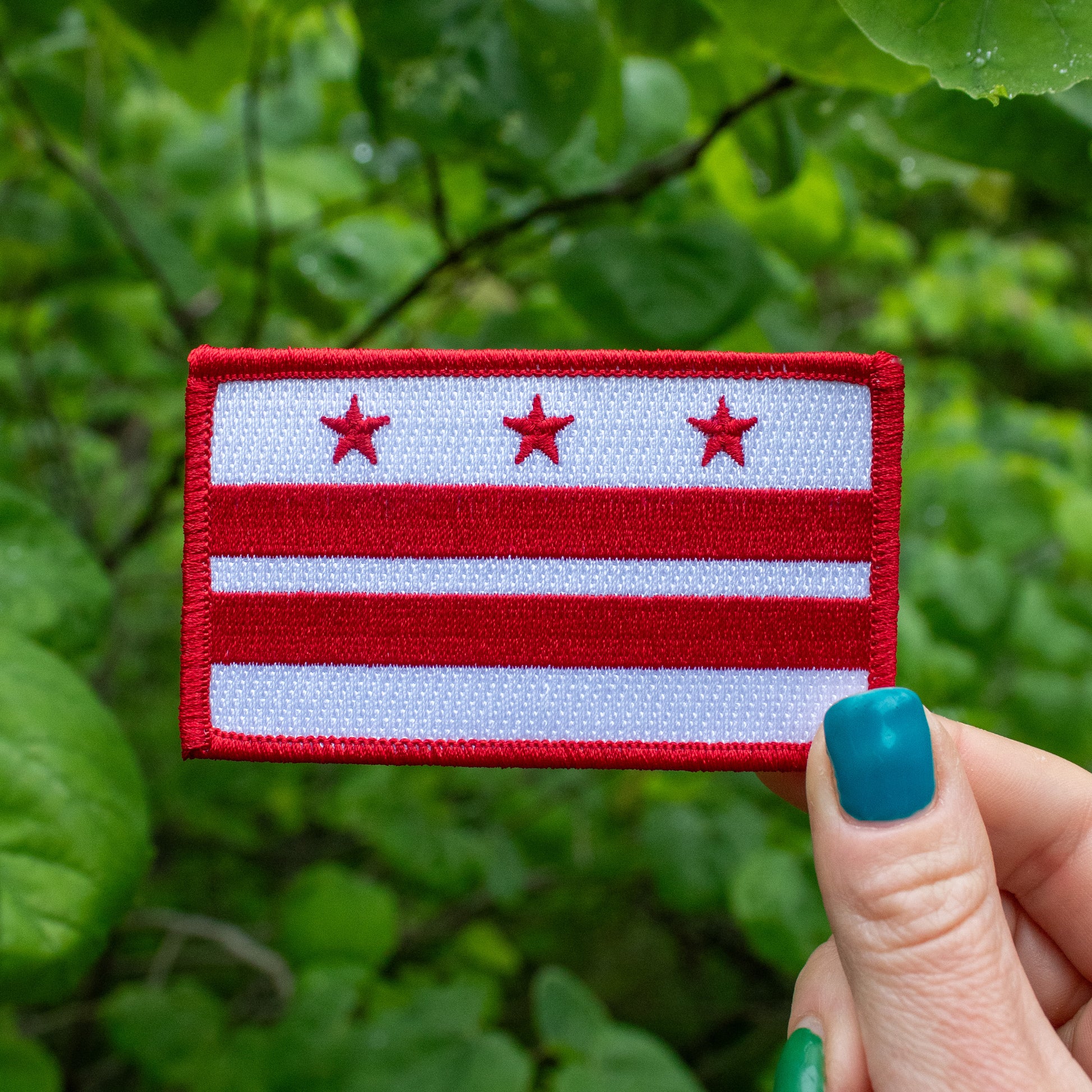 Washington DC iron-on flag patch